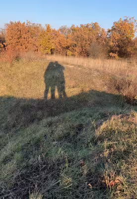 Und so wendete sich alles zum Guten...