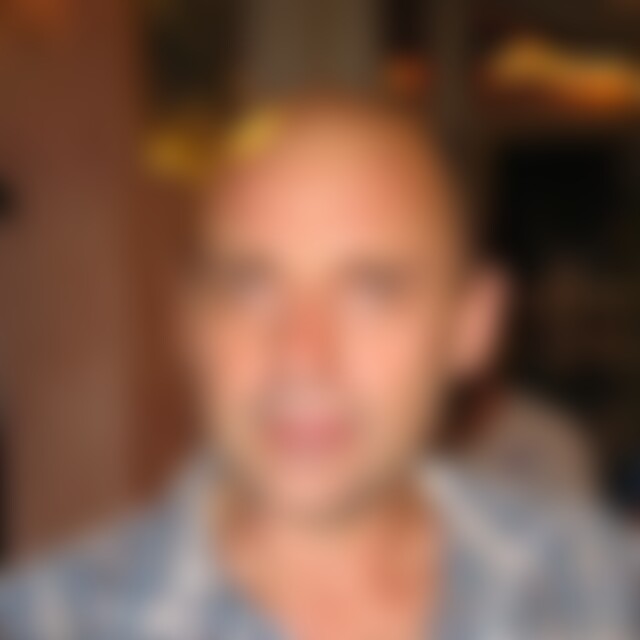 sonnenblumen (65) aus Wiesbaden (Nähe)