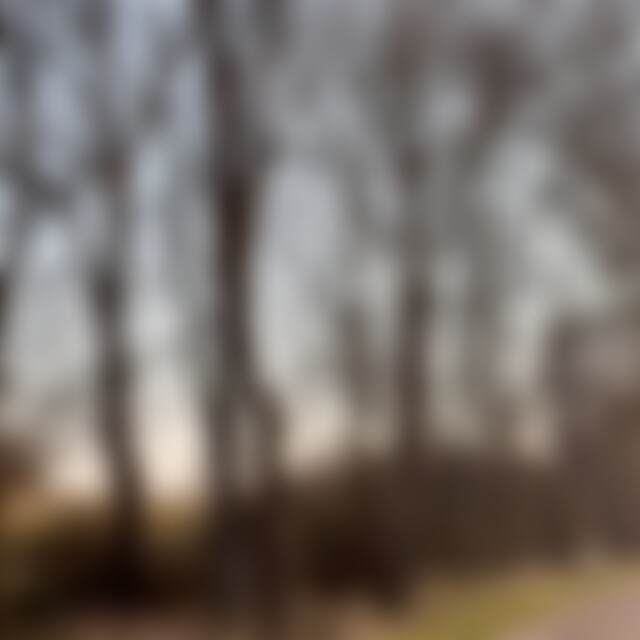 DReamerOnline (40) aus Neustadt