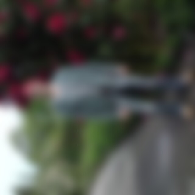 Dietmar1966 (59) aus Hohenstein-Ernstthal