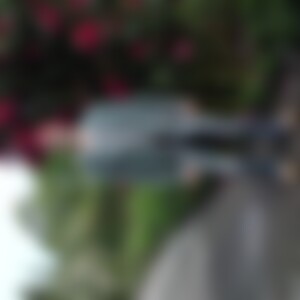 Dietmar1966 (59) aus Hohenstein-Ernstthal