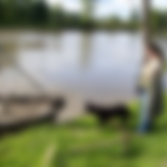 countrygirl (76) aus bei hamburg