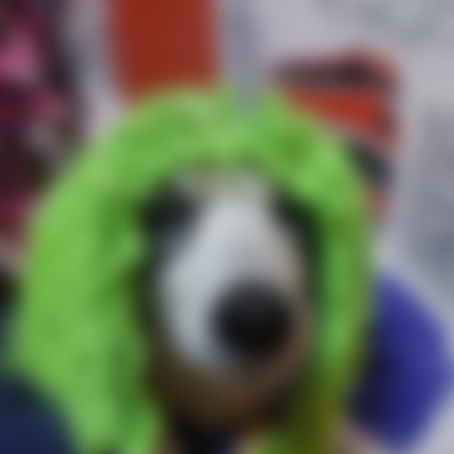 Mamunator (37) aus Fürth