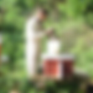 Bienenfreund (58) aus 