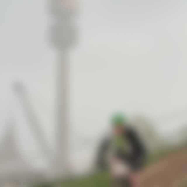 Wirwi (37) aus Bollingen