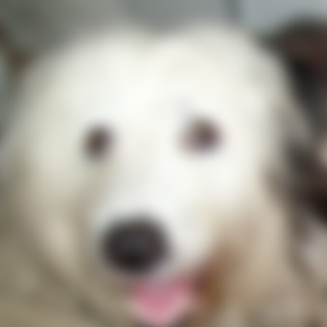 Merryll (55) aus Bad Oeynhausen