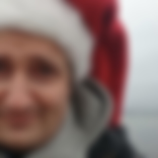 Steiner911 (51) aus Hannover