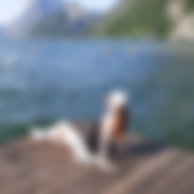 judilicious (38) aus 