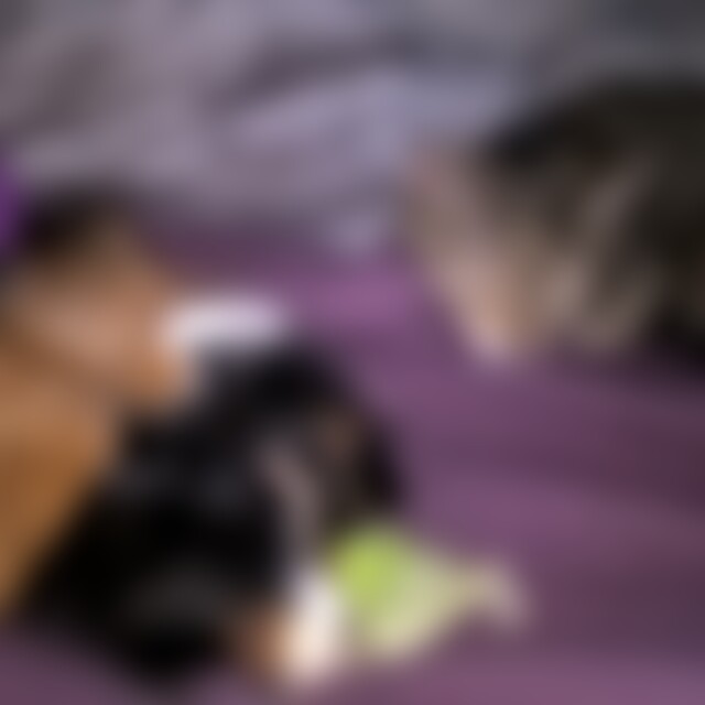 cvrt10 (49) aus Crailsheim