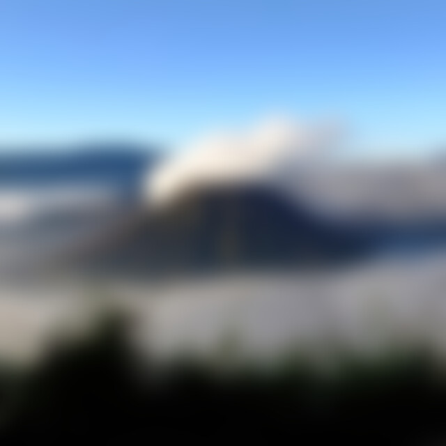 Huynh (48) aus Saxony