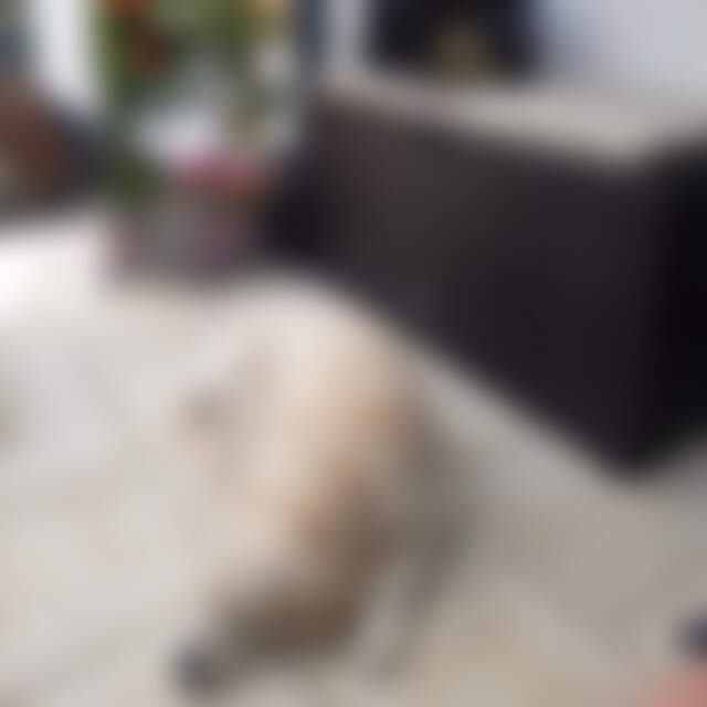 troisdorf (70) aus Lohmar