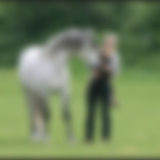 Wiekeine (41) aus bei Flensburg