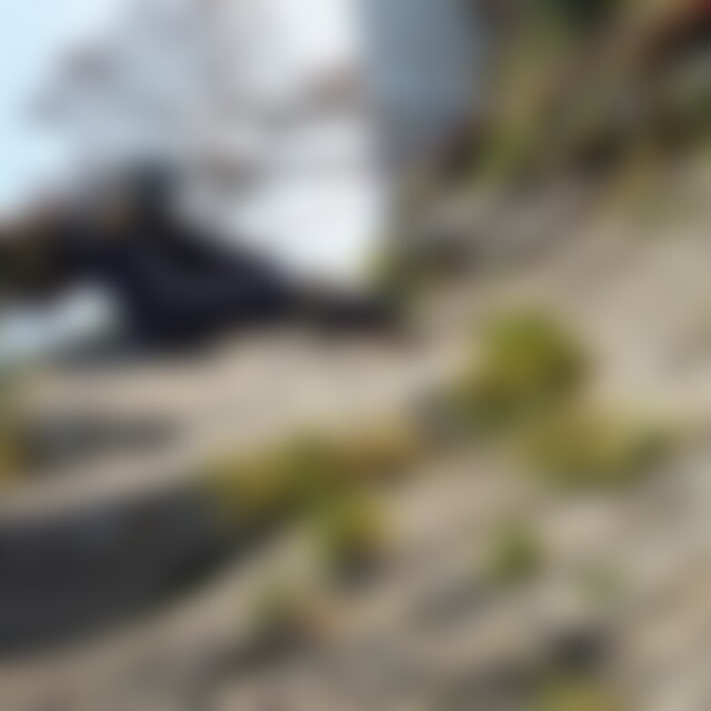 nyquist (40) aus Nähe Stuttgart