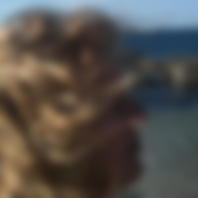 pipilotta62 (63) aus Rendsburg