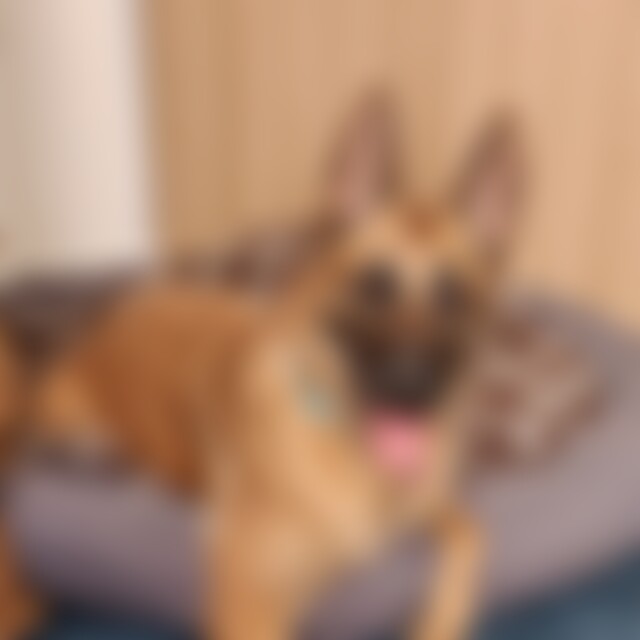 Eisprinzessin (65) aus Dortmund