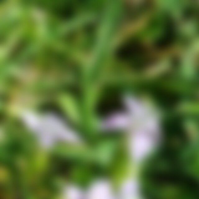 PhillDriscoll (60) aus Muhen