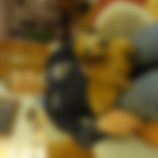 Tiger12 (60) aus Gladbeck