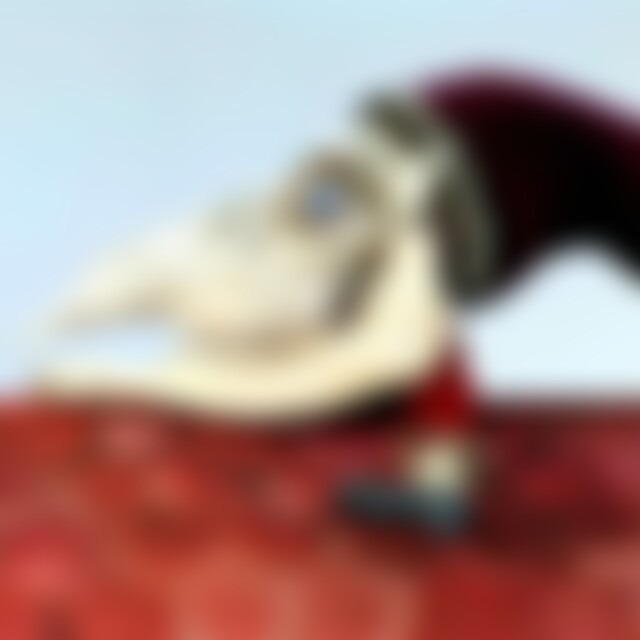 SchallundRauch (49) aus Saarbrücken