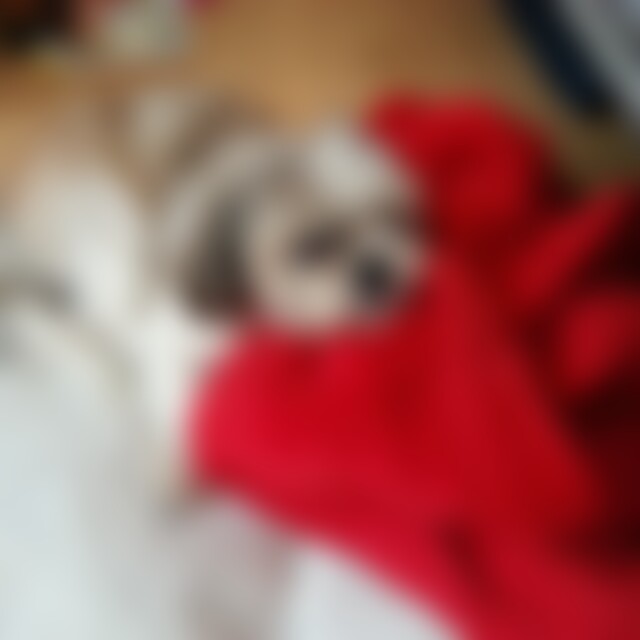 Sunny56 (69) aus Köln