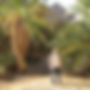 Verwalter (50) aus Neukirchen