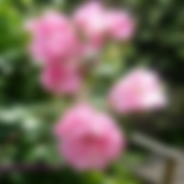 lowlands (58) aus Süddeutschland