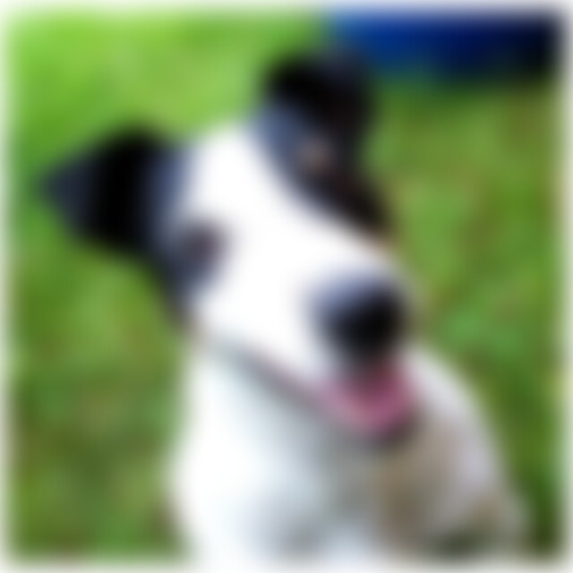 steffen1964 (62) aus Schönlind