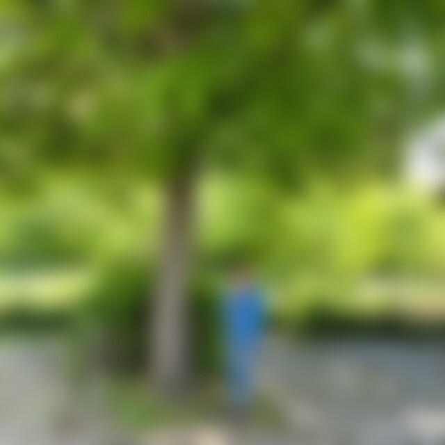 DuftLocke (62) aus Berlin