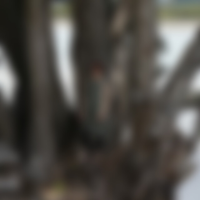 Pakeha (45) aus Berlin / Tübingen