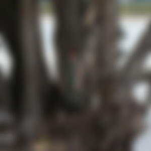 Pakeha (45) aus Berlin / Tübingen