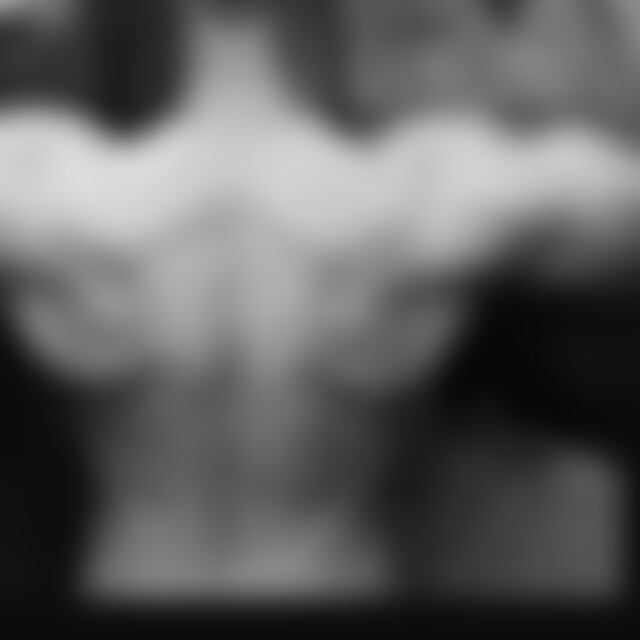 SvenFrancisko (45) aus Saarbrücken