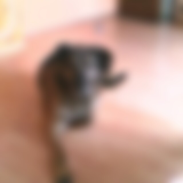 jochri (66) aus WI-MZ-Bad Schwalbach