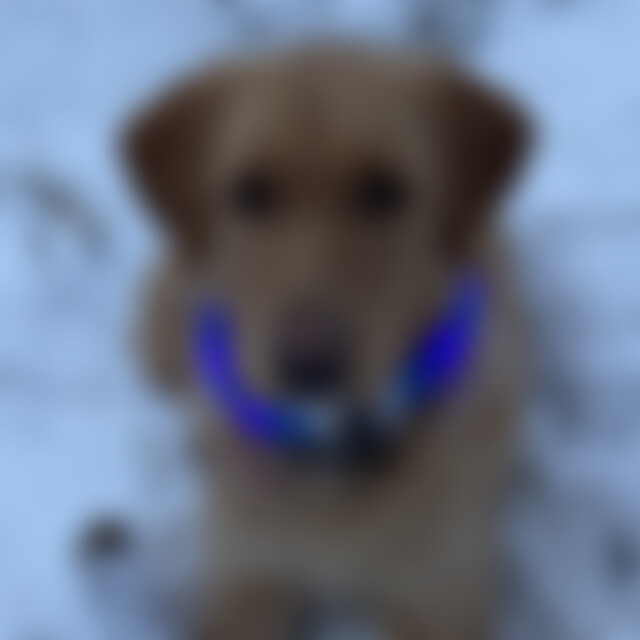 raxtes (38) aus Herdorf