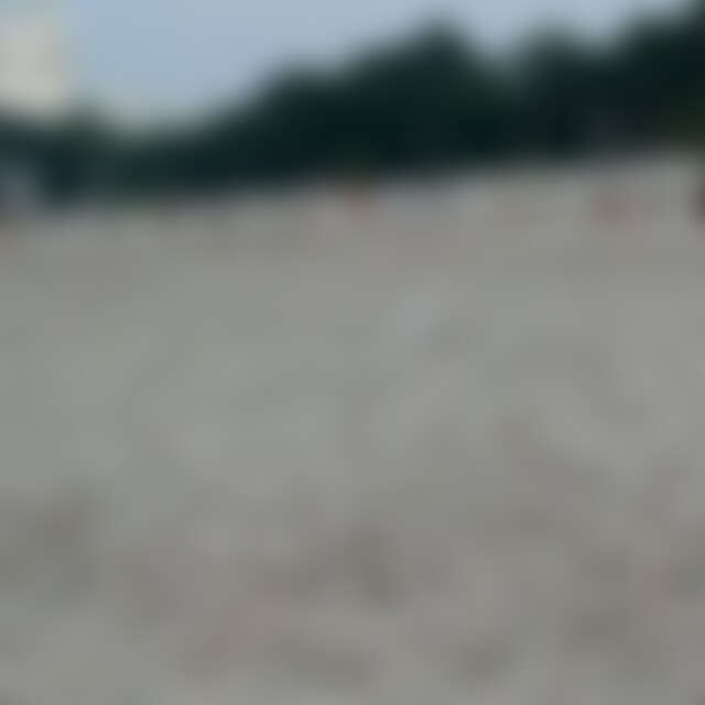 LoveIsAll (41) aus Frankfurt