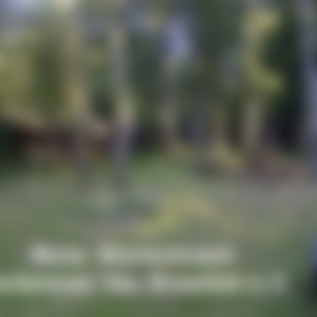 netterStier1971 (54) aus Essen