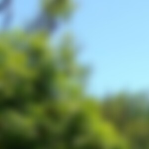 beautifulspirit (60) aus Bodensee