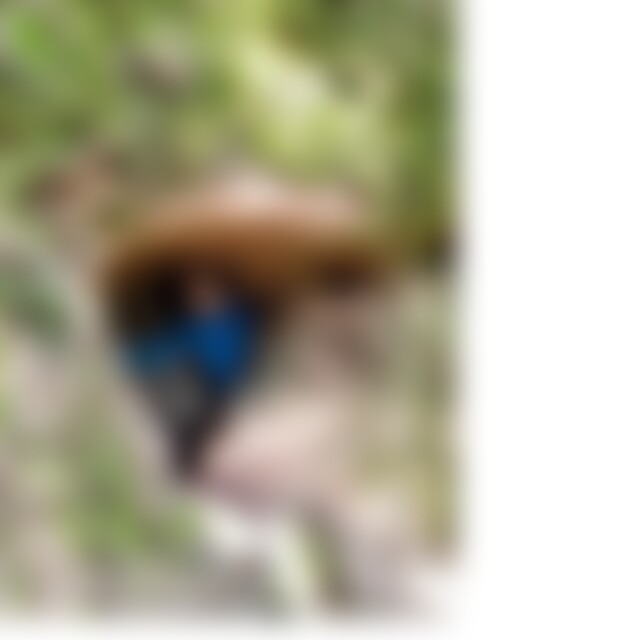 MarinaX (62) aus Nürnberg