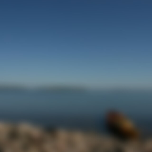 Wildlife (41) aus Bergdietikon