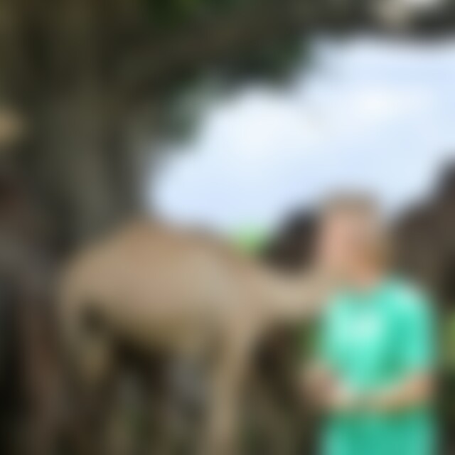 turmfalke (57) aus nahe Öhringen