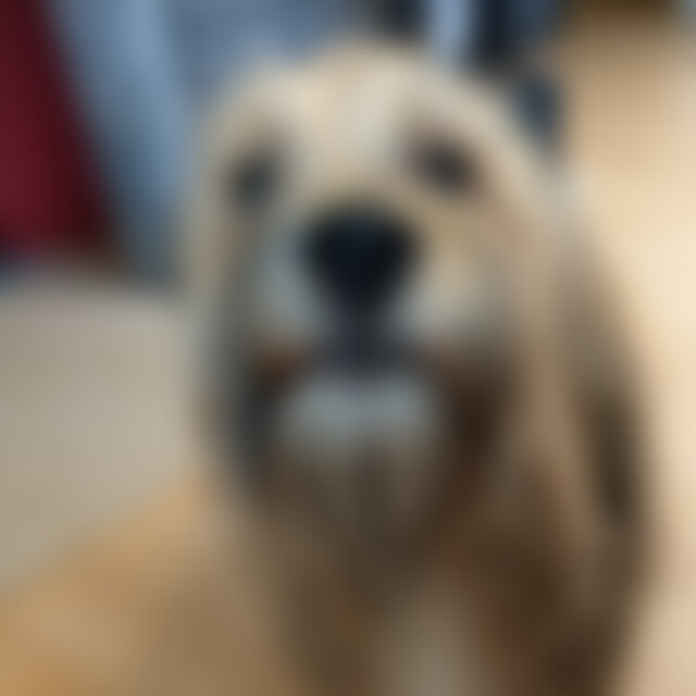 insimana (56) aus Im Brenztal... jetzt