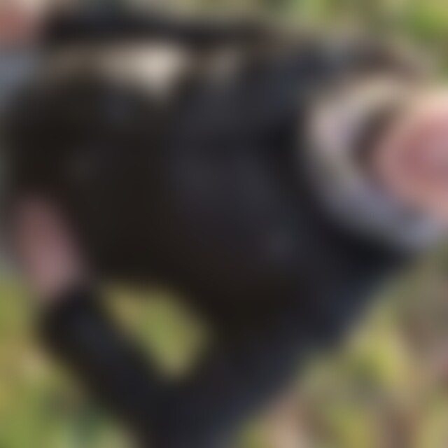 Cinemaxx (68) aus Bad Salzuflen