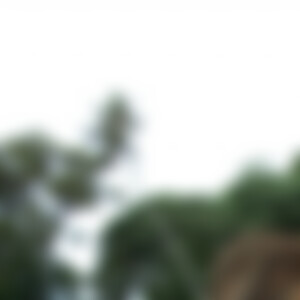 gunzenhausen (61) aus gunzenhausen