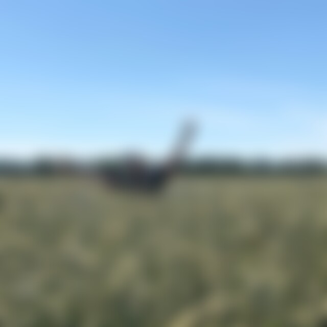 Reisefreundin (42) aus Hannover