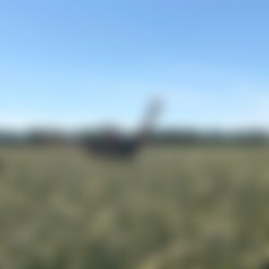 Reisefreundin (42) aus Hannover