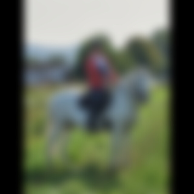 Bonnypony (54) aus Laudenbach