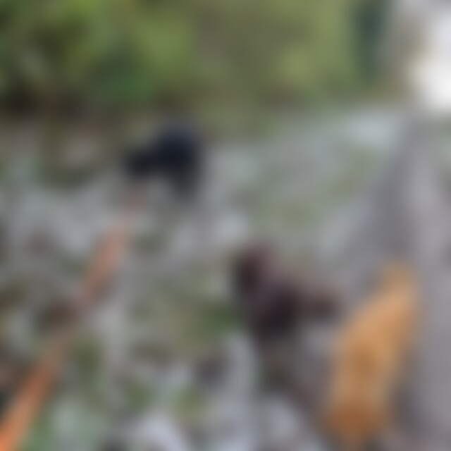 Motorradfan (72) aus Billigheim Ingenheim