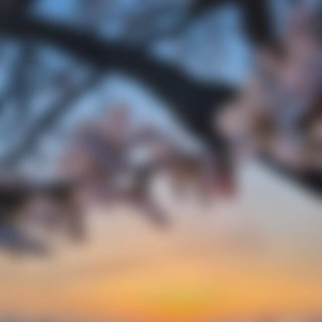 Motorradfan (72) aus Billigheim Ingenheim