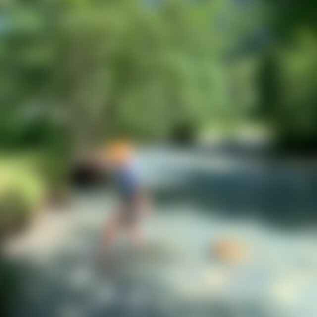 Springs (40) aus Husum