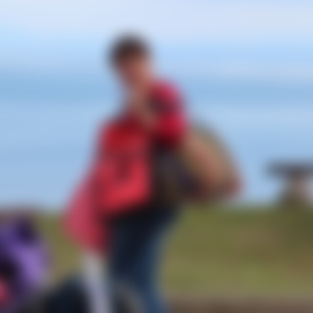 bienenschwarm (65) aus stuttgart