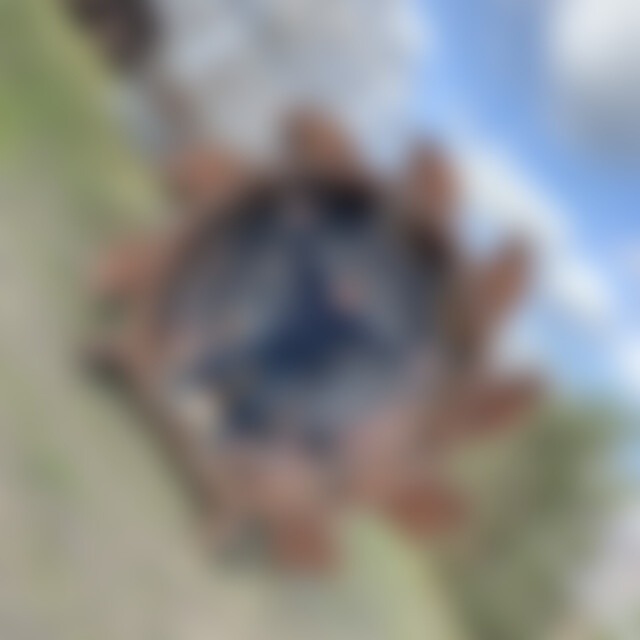 philipdent (41) aus Mannheim + Jena