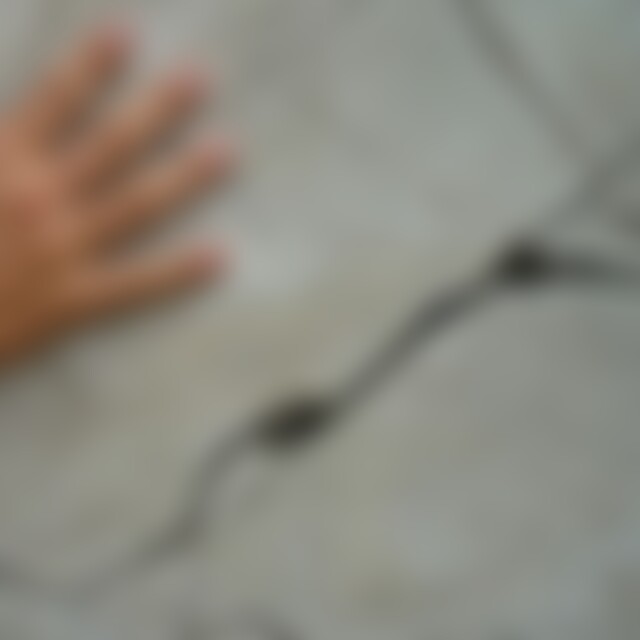 maygefuehl66 (59) aus Stuttgart